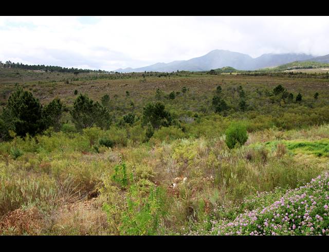 69HA FARM FOR SALE IN BOT RIVER